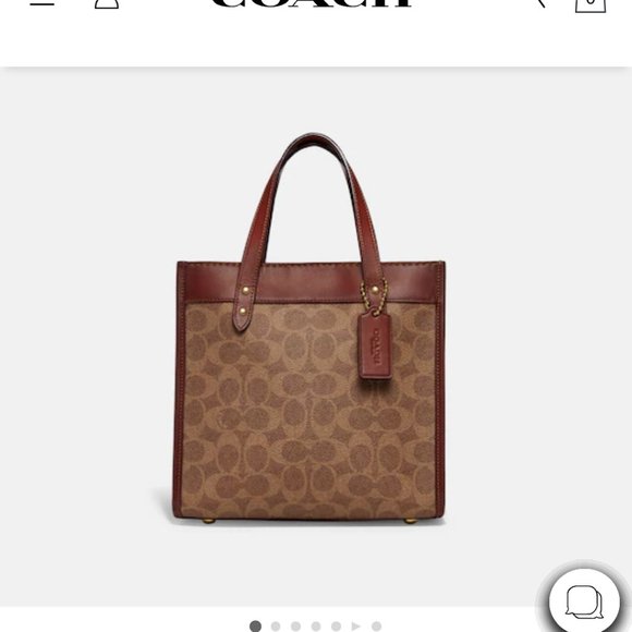 Field Tote 22 In Signature canvas With Horse and Carriage Print - Picture 7 of 8